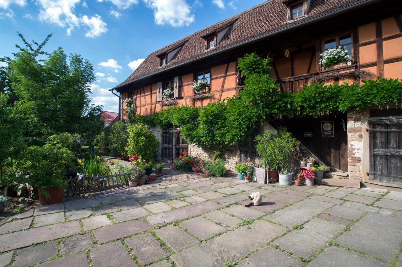 Apartament La Ferme De Marie Rangen Zewnętrze zdjęcie