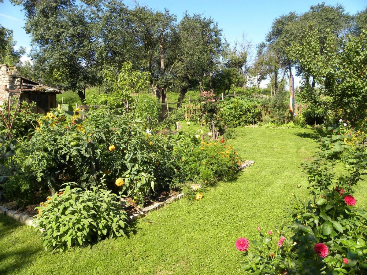 Apartament La Ferme De Marie Rangen Zewnętrze zdjęcie